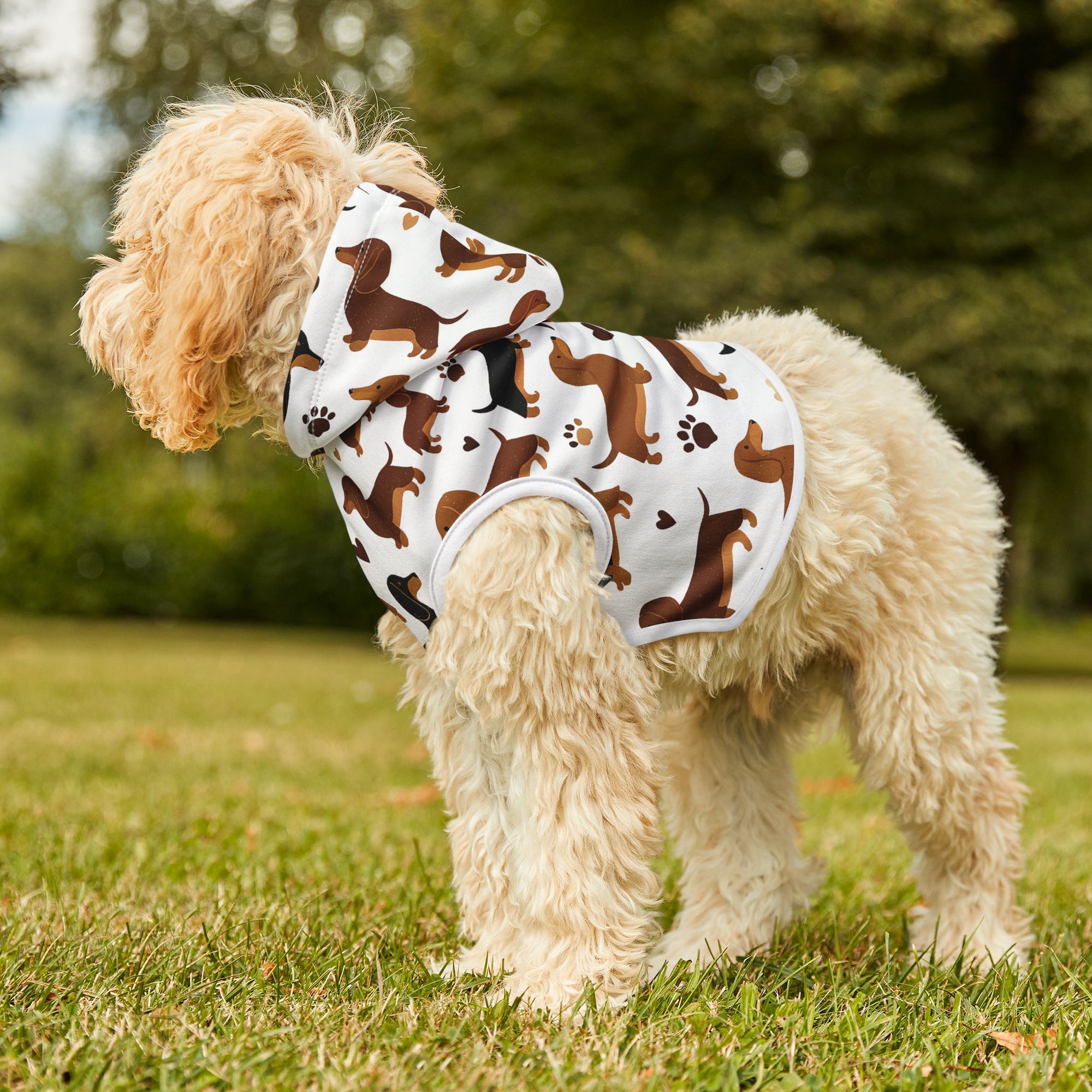 Dachshund Pattern - Pet Hoodie