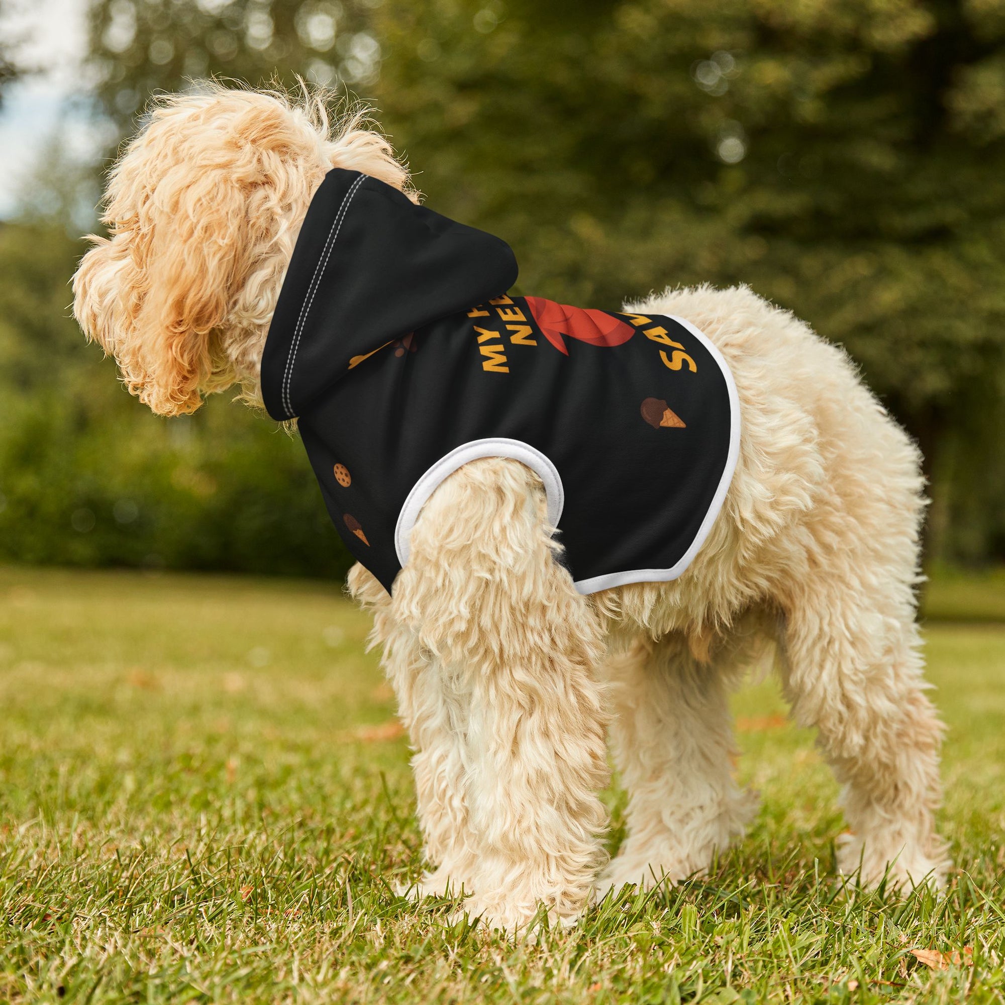 Superhero Pet Hoodie – “My Human Needed Saving” Black Variant