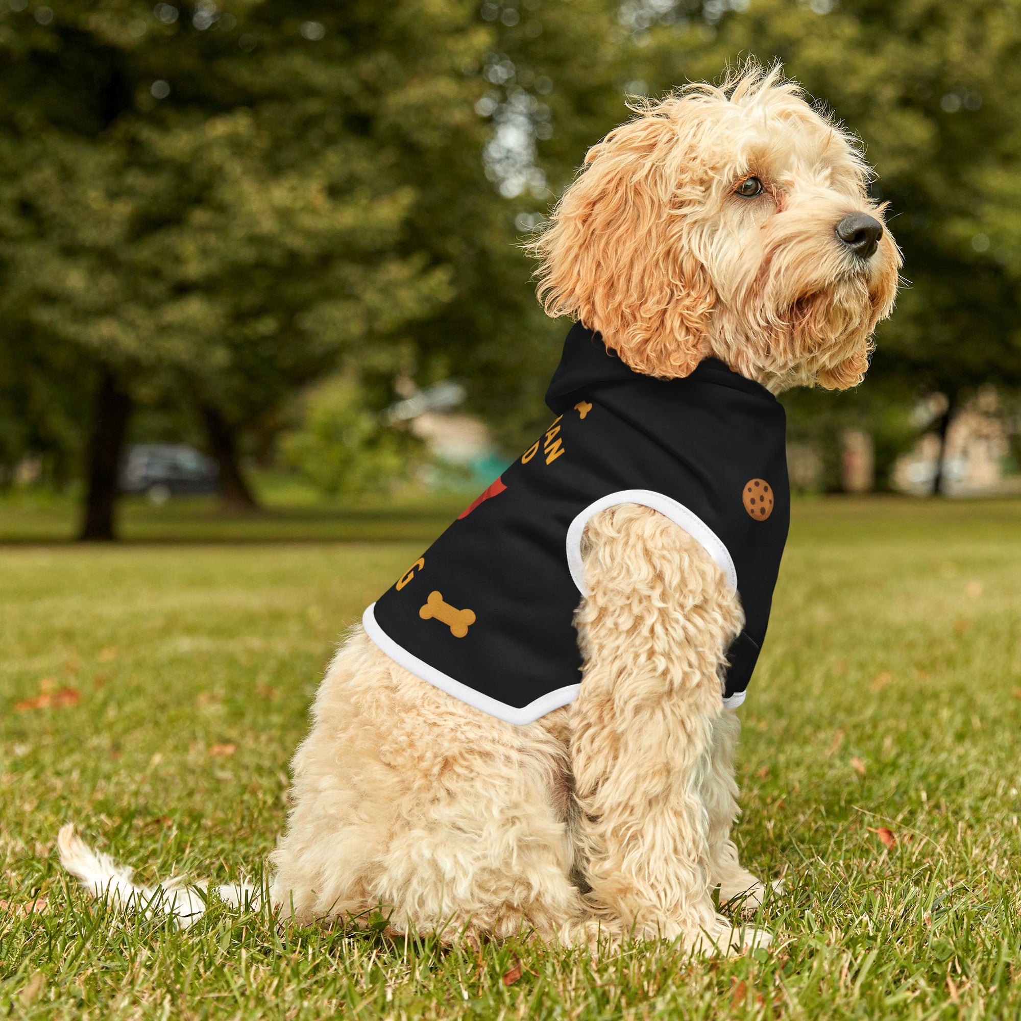 Superhero Pet Hoodie – “My Human Needed Saving” Black Variant