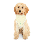 🐾 Treat Addict Pet Hoodie – Cozy Style for Your Snack-Loving Sidekick 🐶🐱