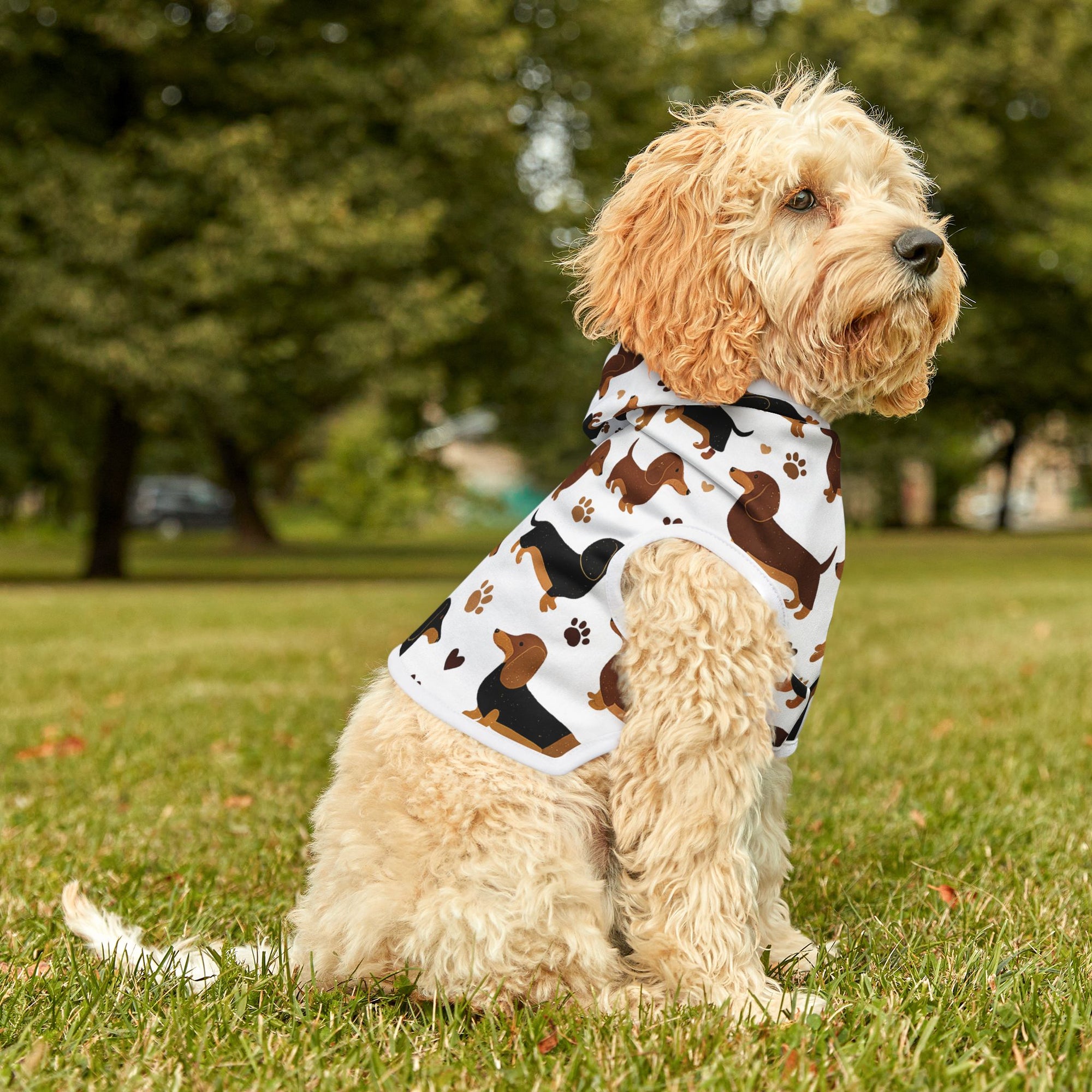 Dachshund Pattern - Pet Hoodie