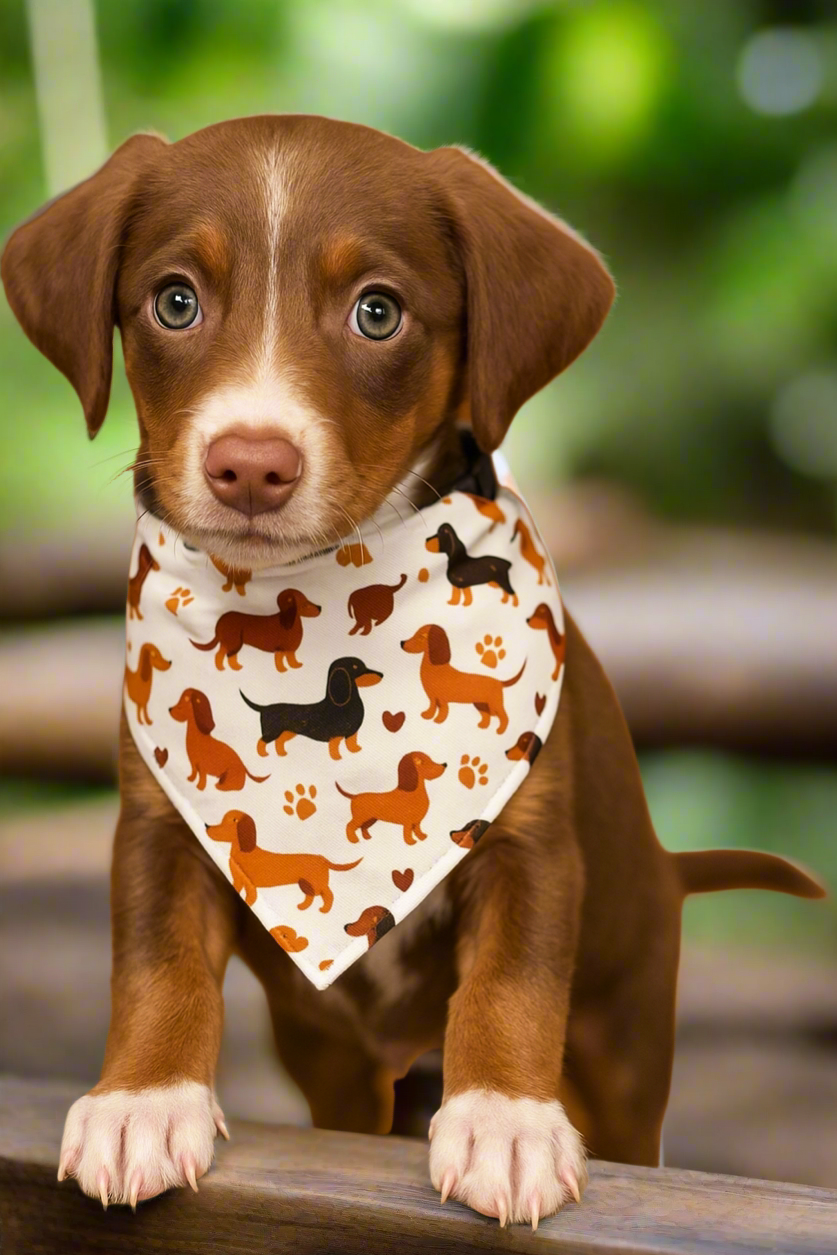 Dachshund Pattern Dog Bandana