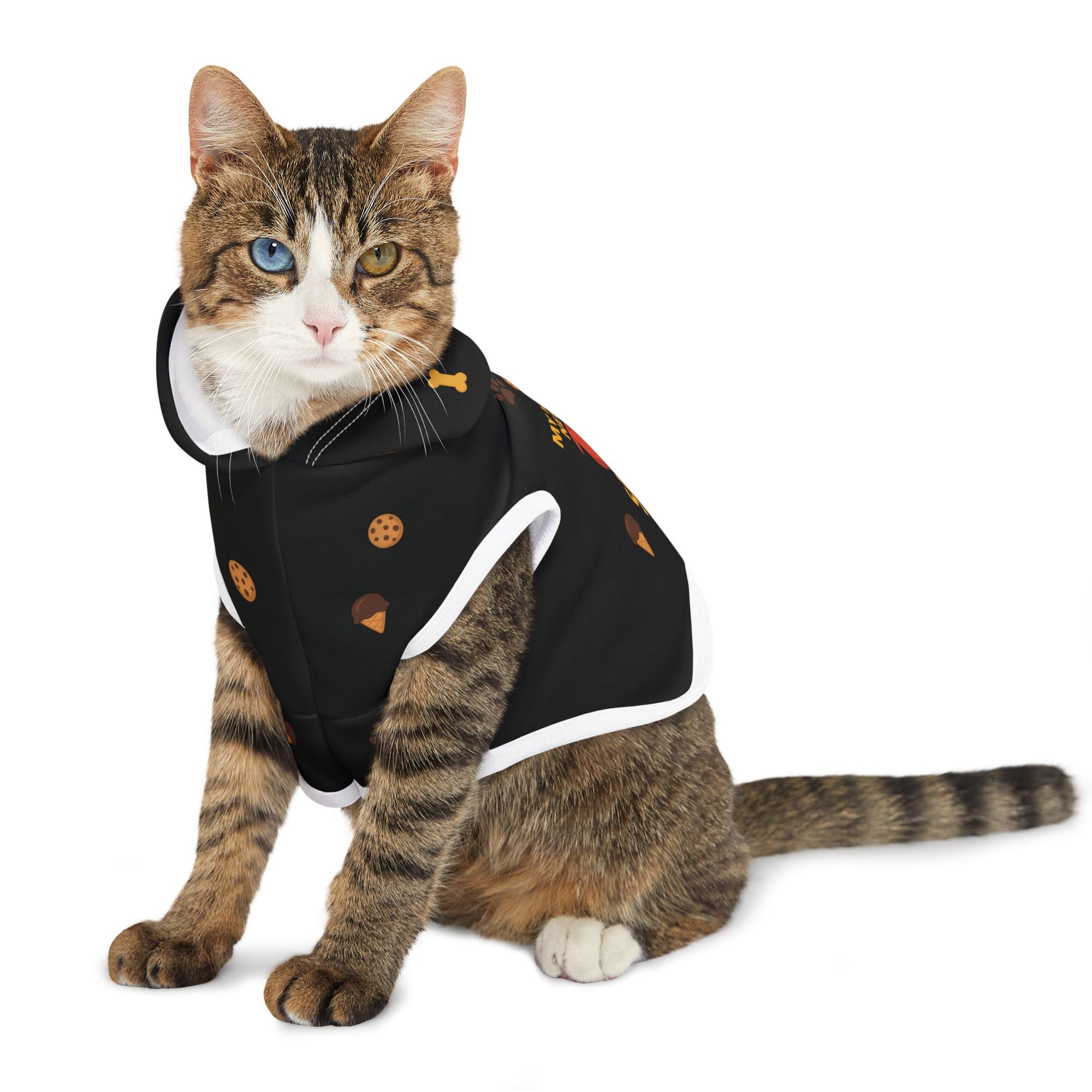 Superhero Pet Hoodie – “My Human Needed Saving” Black Variant