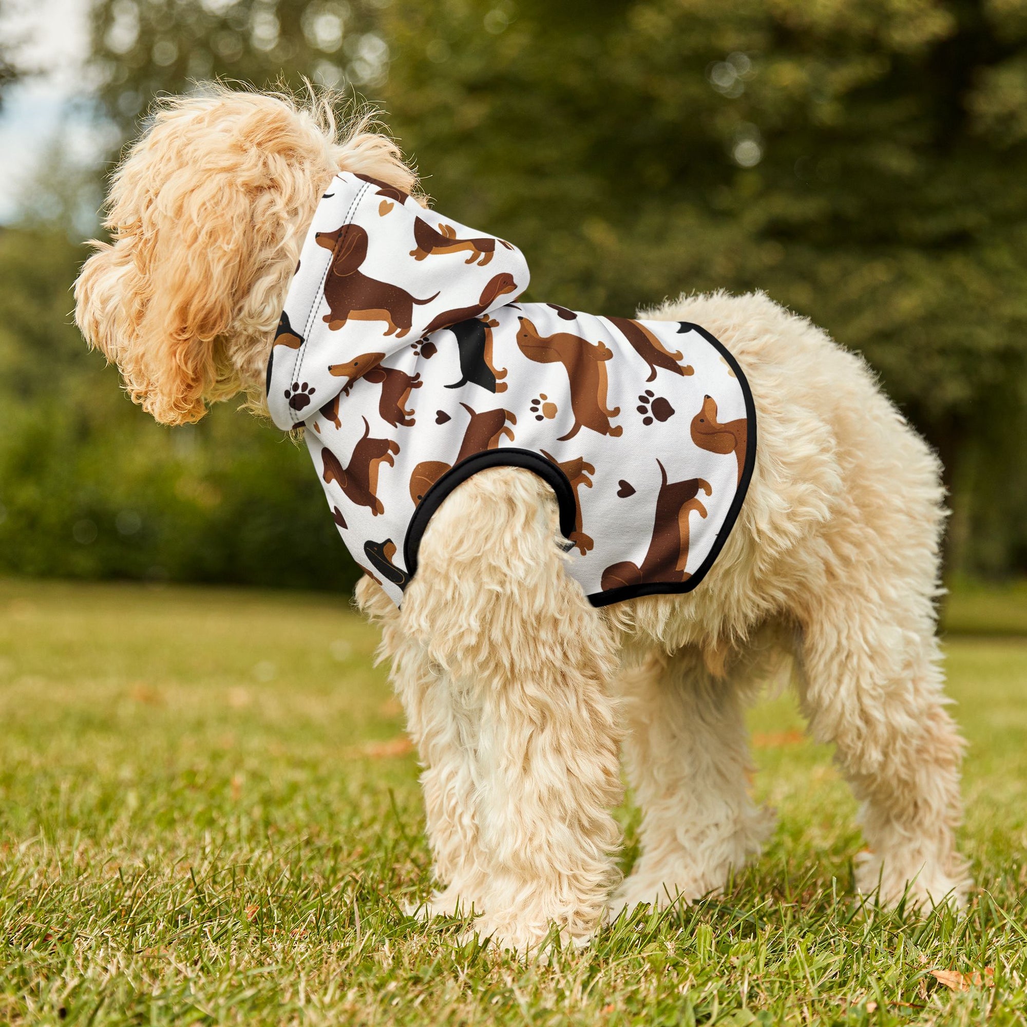 Dachshund Pattern - Pet Hoodie
