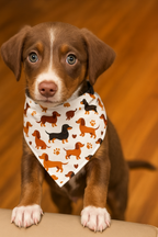 Dachshund Pattern Dog Bandana