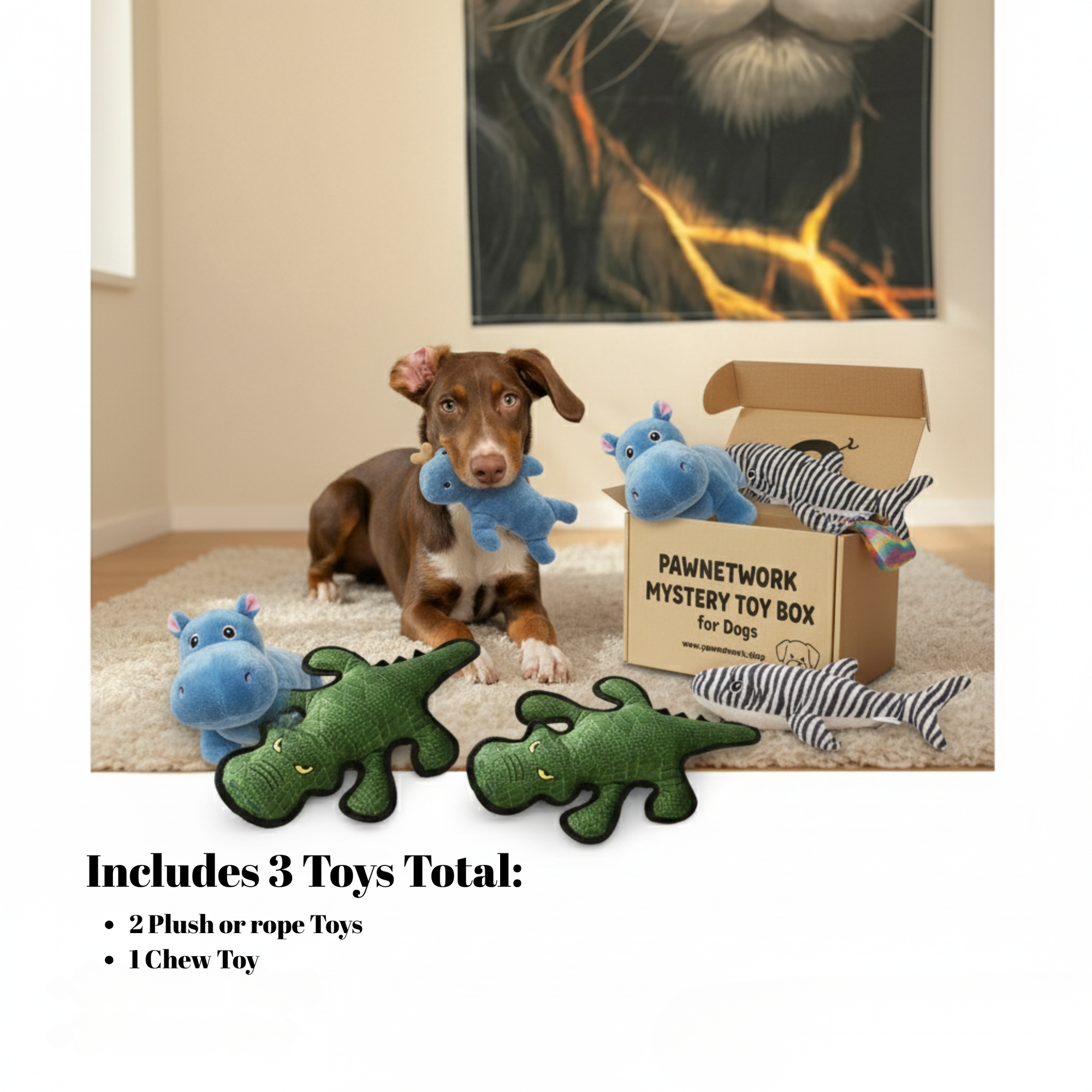 🎁 Mystery Toy Box